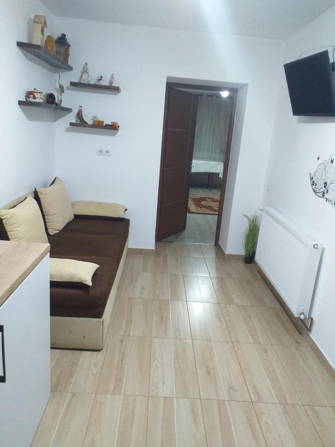 Fully Furnished Studio Sighetu Marmaţiei Buitenkant foto