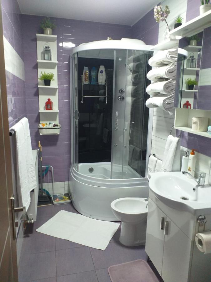 Fully Furnished Studio Sighetu Marmaţiei Buitenkant foto