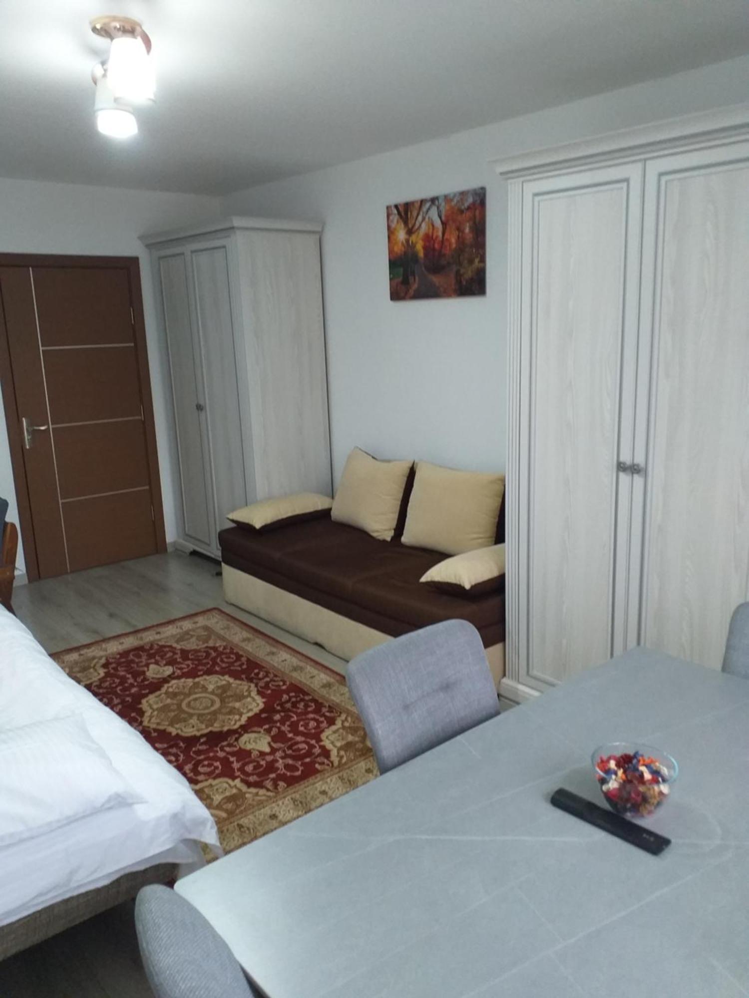 Fully Furnished Studio Sighetu Marmaţiei Buitenkant foto
