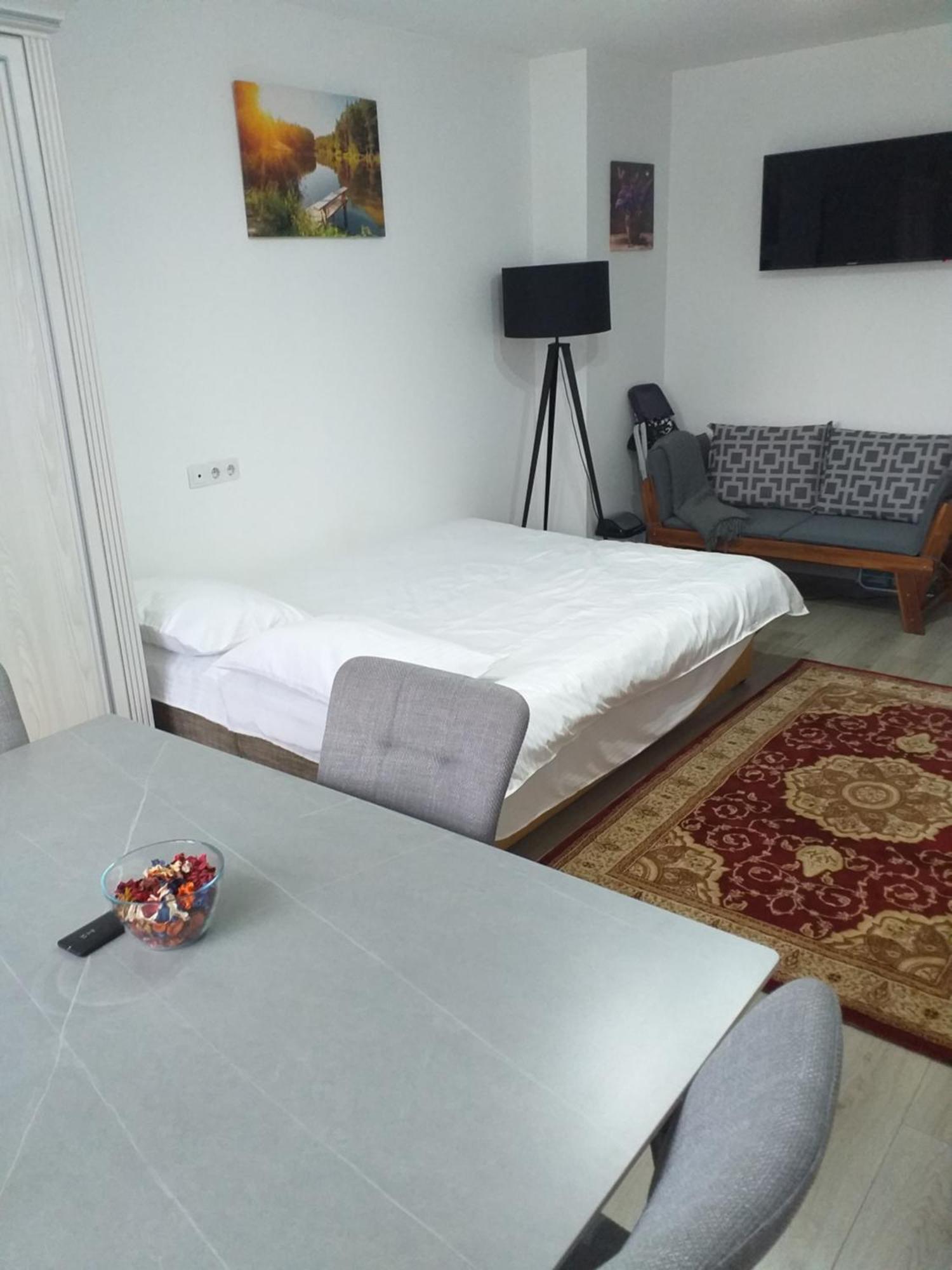 Fully Furnished Studio Sighetu Marmaţiei Buitenkant foto