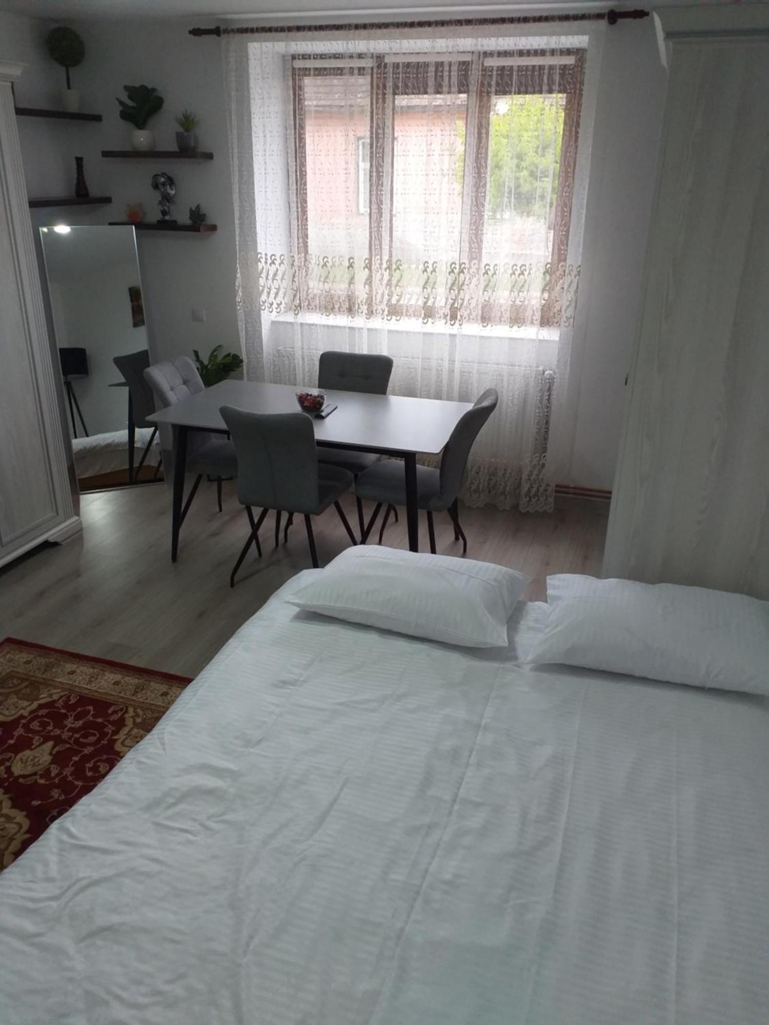 Fully Furnished Studio Sighetu Marmaţiei Buitenkant foto