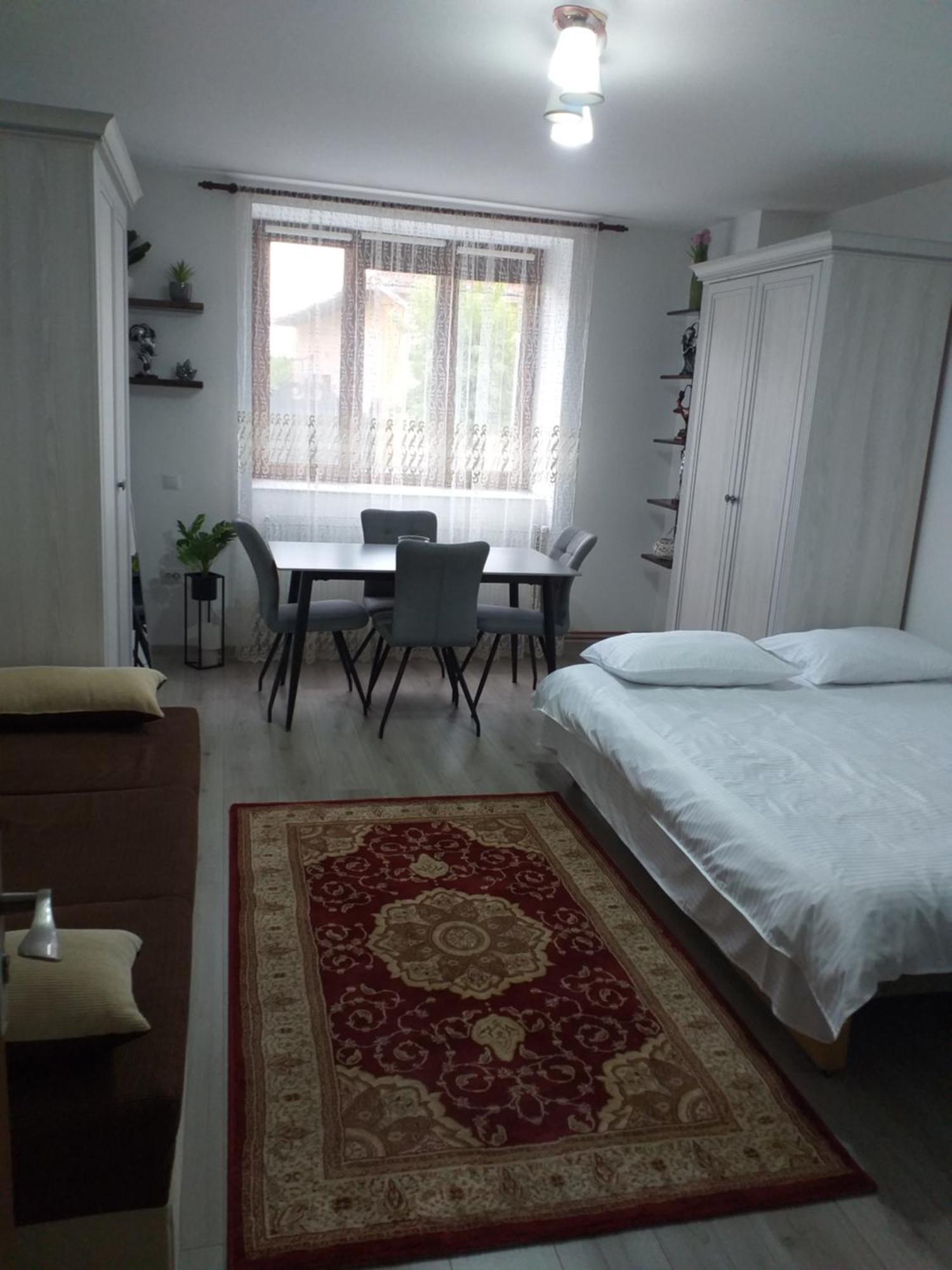 Fully Furnished Studio Sighetu Marmaţiei Buitenkant foto